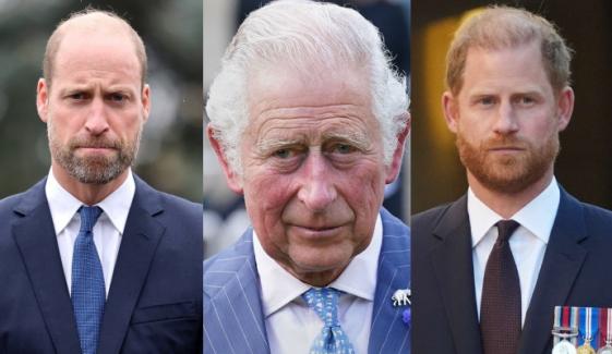 King Charles calls for William, Harry 'reunion' amid growing pressure on monarchy