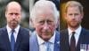 King Charles calls for William, Harry 'reunion' amid growing pressure on monarchy