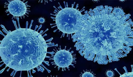 Norovirus outbreak: 49 passengers affected British cruise ship docked in France