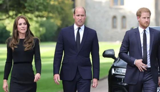 Prince William, Kate Middleton strongly oppose Harry's new idea: 'deeply uneasy'