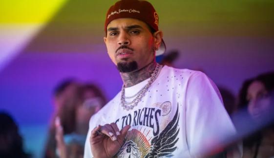 Chris Brown: Man arrested after allegedly trespassing, attempted arson