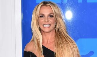Britney Spears sparks concern after 'barking', wielding knife at LA dinner