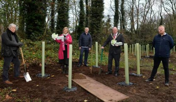 Belfast hits major milestone in 1M trees initiative, launches new Orchards