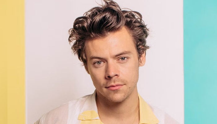 Harry Styles’ team responds to blocked views complaints at Together, Together tour