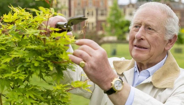 Buckingham Palace shares King Charles beaming video after false 'death' announcement