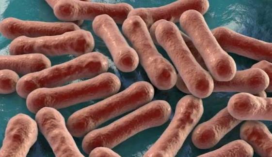 Diphtheria outbreak in australia: Health experts warns to combat ‘biggest ever’ variant