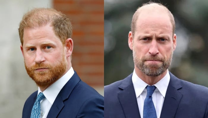 Prince Harry accuses Prince William after alleged Hollywood snub