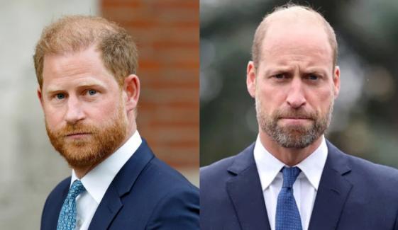 Prince Harry blames Prince William after alleged Hollywood snub
