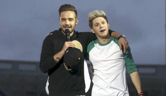 Niall Horan honours late bandmate Liam Payne with emotional track