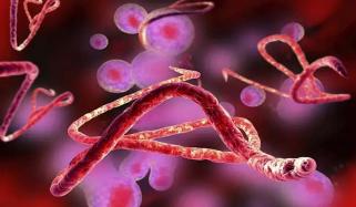 Atlanta area airport now added for Ebola screening, CDC says 