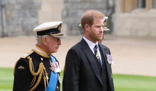 Prince Harry seeks more than cash from King Charles amid financial troubles