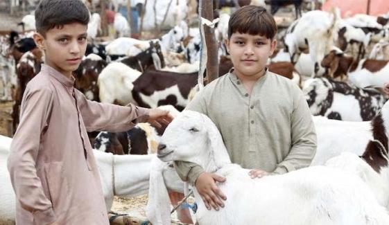 Happy Eid ul Adha 2026: Traditions, customs, and celebrations