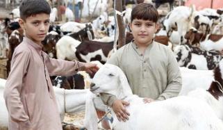 Happy Eid ul Adha 2026: Traditions, customs, and celebrations