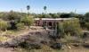Ancient remains found near Nancy Guthrie’s home not linked to case