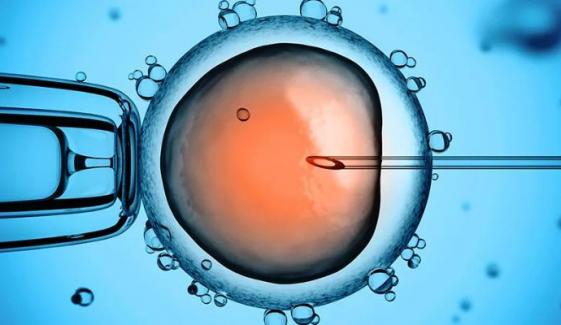 Scientists achieve precise human embryo gene editing without DNA damage
