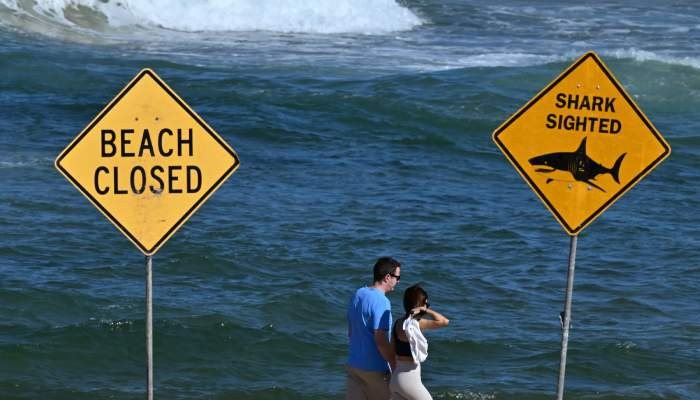 Western Australia shark attack kills diver near Michaelmas Island