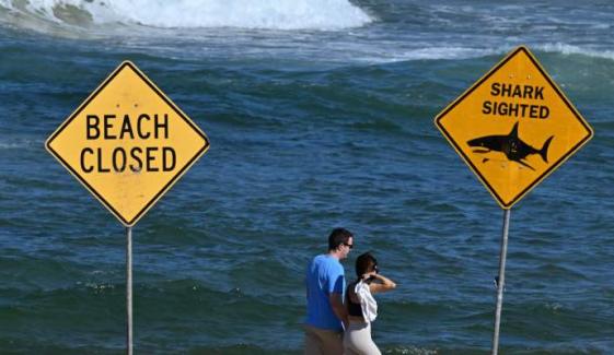 Western Australia shark attack kills diver near Michaelmas Island