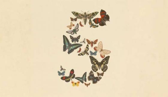 Anthropic launches Claude Fable 5: Features, pricing, more