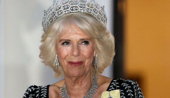 Buckingham Palace shares exciting update on Queen Camilla's 'vital new project'