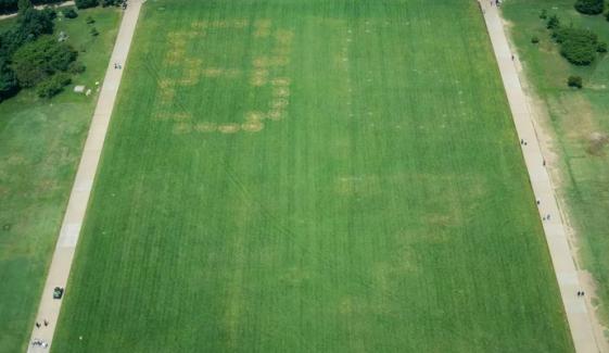 '8647' markings on National Mall grass in US capital prompts investigation