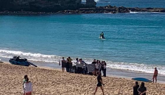 Shark attack horror: Woman left in critical condition at Sydney's Coogee beach