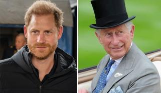 Prince Harry releases touching statement as King Charles reunion nears