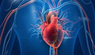 Expert highlight essential ways to maintain heart health