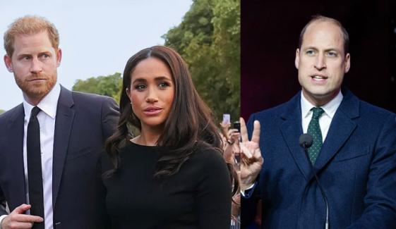 Prince Harry gives Meghan Markle key advice about William just days before UK visit