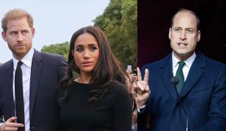 Prince Harry gives Meghan Markle key advice about William just days before UK visit
