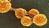 Scientists build world’s first synthetic cell from scratch: A breakthrough in Biology