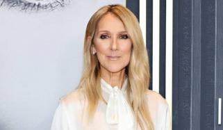 Celine Dion drops 'Hello, Sorry, Thank You' music video before Paris tour: Watch