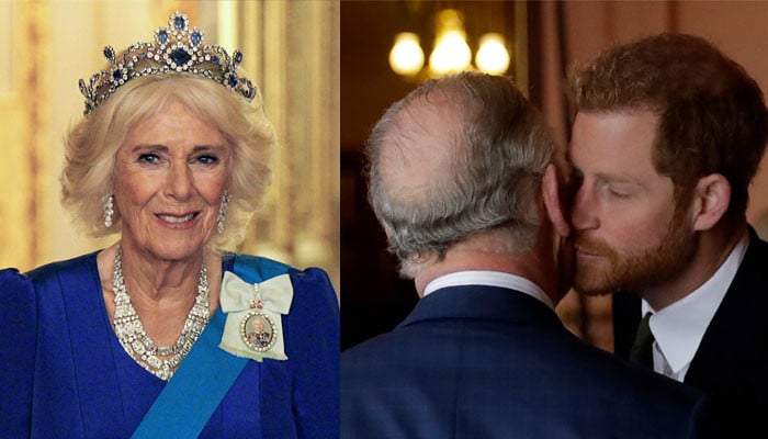 Queen Camilla defies King Charles ‘ridiculous’ urge for Prince Harry ‘reconciliation’