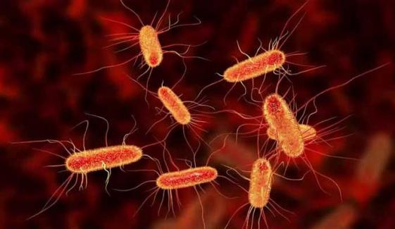 Everything to know about diarrhea-causing parasite: Spread, treatment, symptoms