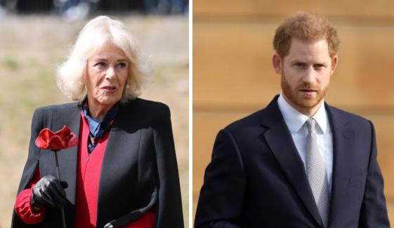 Queen Camilla shares unexpected message after Prince Harry faces crushing legal defeat