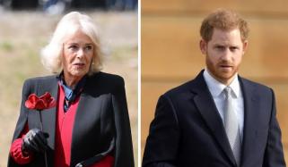 Queen Camilla shares unexpected message after Prince Harry faces crushing legal defeat