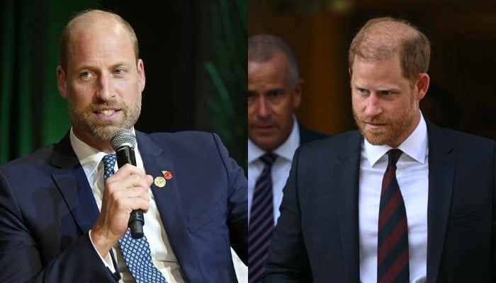 Prince William sends 'wonderful' message as Prince Harry loses privacy battle