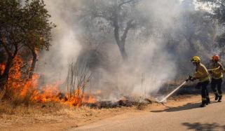 Spain 'terrible' wildfires kill 11 as crews battle to contain blaze