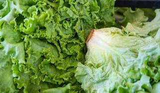 Cyclospora outbreak: Michigan identifies lettuce, salad greens as possible source 