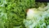 Cyclospora outbreak: Michigan identifies lettuce, salad greens as possible source 