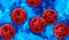 Cyclospora outbreak in US: foods under investigation and how to stay safe