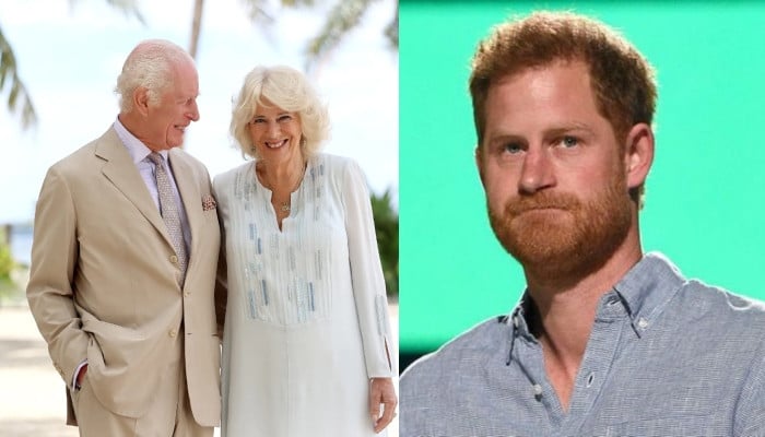 King Charles reveals Queen Camilla's role in Prince Harry's emotional UK return