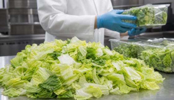 Taylor Farms lettuce linked to US cyclosporiasis outbreak, Taco Bell takes swift action 