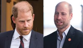 Prince Harry resonates with William's 'sadness' in first public appearance after King Charles meeting