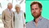 King Charles reveals Queen Camilla's role in Prince Harry's emotional UK return 