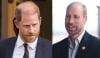 Prince Harry resonates with William's 'sadness' in first public appearance after King Charles meeting