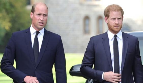 Prince Harry seeks peace with Prince William as future King puts forward key condition