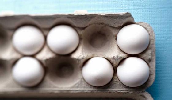 US FDA issues massive egg recall over potential Salmonella contamination