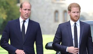 Prince Harry seeks peace with Prince William as future King puts forward key condition