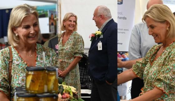 Duchess Sophie attends special engagement in Wales after her emotional video message 