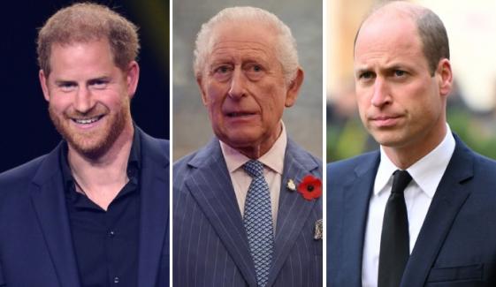 Prince Harry plans to tug at Charles’ heartstrings as King ‘irritated’ with William